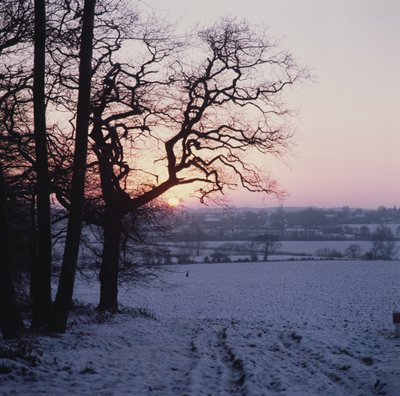 Vinterscen i snön, Hockley, Essex av Unbekannt Unbekannt