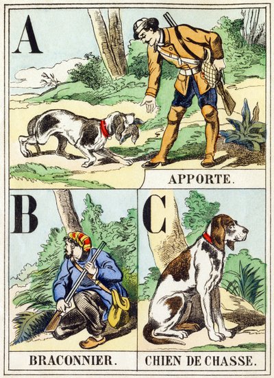 A B C: Bring, Poacher, Hunting Dog - The Hunting Alphabet, c.1890 (gravyr) av Unbekannt
