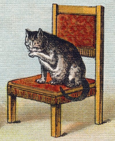 En katt på en stol. Gravyr i "Alphabet de ma petite fille". Bernardin-Bechet och Fils, bokhandlare-förlag, Paris, omkring 1895. Okrossbart album på duk. Bibliotheque des Bebes. 12 sidor. Album innehållande en läsmetod och en illustrativ abeceda av Unbekannt