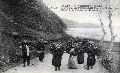 Albanien: Zigenska kvinnor bär träbuntar på ryggen - Vykort 1914-1918 av William M. Timlin