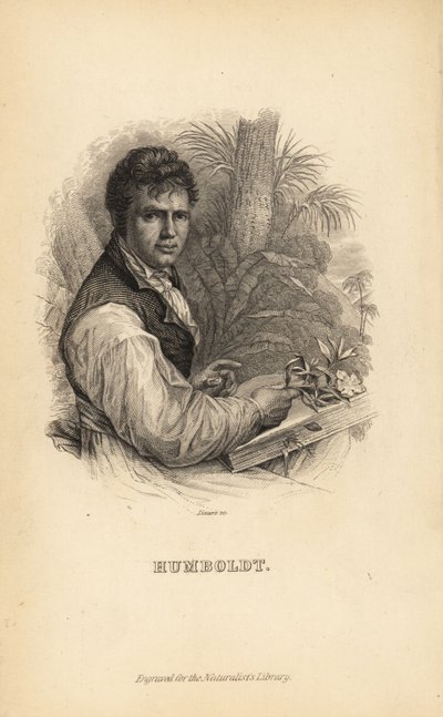 Alexander von Humboldt, tysk upptäcktsresande, naturforskare och botaniker av Unbekannt