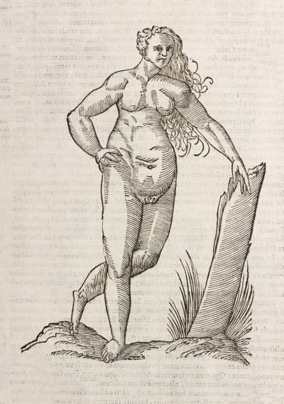 Androgynos av Unbekannt