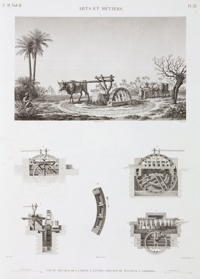Animal Power Djurdriven bevattning, Egypten, ca 1798 av Unbekannt