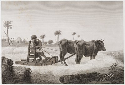 Åkerbruk, skördetröskmaskin, Egypten, ca 1798 av Unbekannt