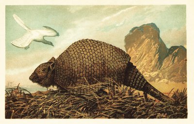 Archeopteryx lithographica och Panochthus tuberculatus.1908 (litografi) av Unbekannter Künstler