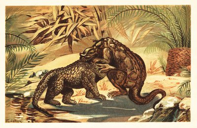 Slaget mellan en Megalosaurus bucklandii och Iguanodon bernissar1908 (litografi) av Unbekannter Künstler