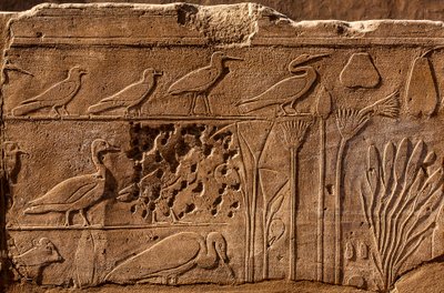 Botaniska trädgården Thutmosis III med reliefavbildningar av växter och djur, Karnak-templet, Luxor, Thebe, Egypten, Afrika (foto) av Unbekannter Künstler