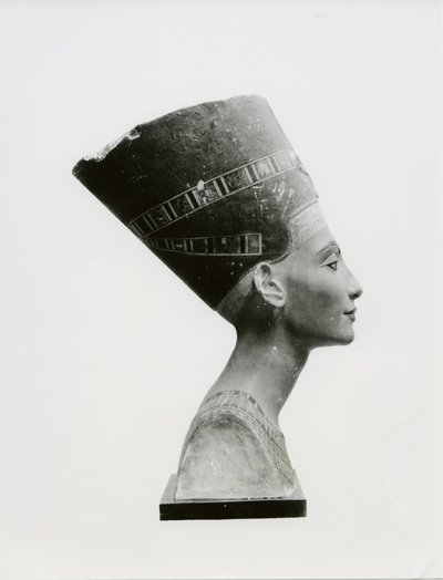 Byst av drottning Nefertiti, sidovy, kopia av byst i Aegyptisches Museum, SMPK, Berlin (målad kalksten) (s/v foto) (se även 114018-20) av Unbekannt
