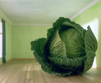 Kål (efter Magritte) av Unbekannter Künstler