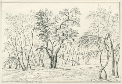 Cannock Chase: penn- och pennteckning, nd [? 1800-talet] av Unbekannt