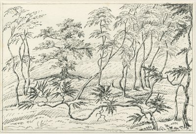Cannock Chase: penn- och pennteckning, nd [? 1800-talet] av Unbekannt