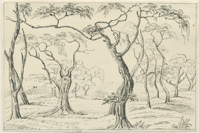 Cannock Chase: penn- och pennteckning, nd [? 1800-talet] av Unbekannt