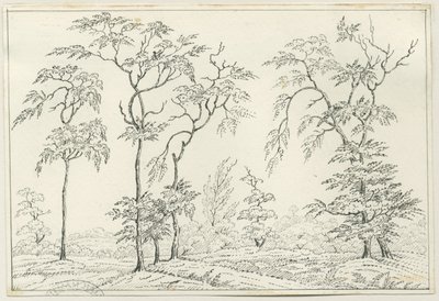 Cannock Chase: penn- och pennteckning, nd [?1800-talet] av Unbekannt