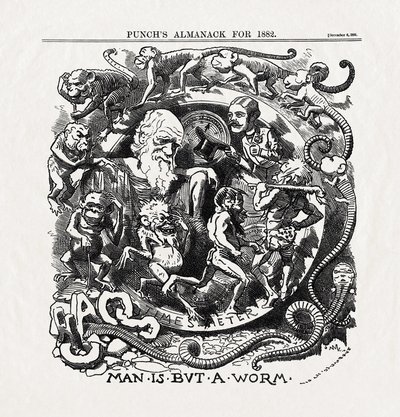 Skämtteckning om Charles Darwins (1809-1882) evolutionsteori: "Människan är bara en mask" (Människan är bara en mask) från "Punch" 06/12/1881 av Unbekannter Künstler