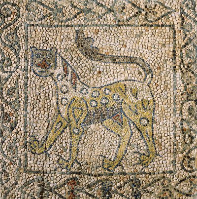 Church of Saint John Evangelist, fjärde korståget, fragment av mosaikgolv som representerar fläckig panter, Ravenna, Emilia-Romagna, Italien av William M. Timlin