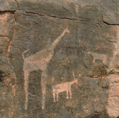 Närbild av förhistoriska målningar, Tenereöknen, Niger av Benjamin Baud
