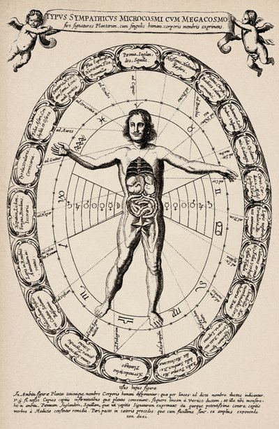 Korrespondens mellan mikrokosmos och makrokosmos. Plansch hämtad från "Mundus subterraneus" av Athanase Kircher (1601-1680) av Unbekannter Künstler