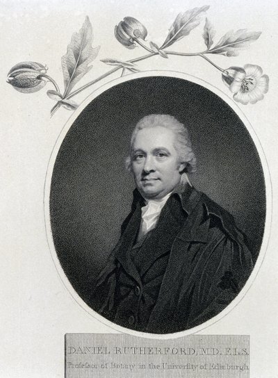 Daniel Rutherford, skotsk kemist och botaniker, tidigt 1800-tal av Unbekannt