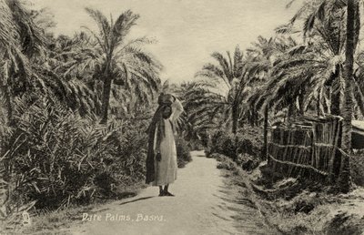 Dadelpalmer, Basra av Unbekannter Künstler