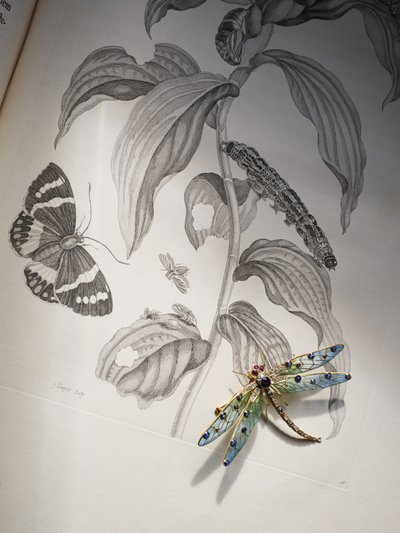 Deborah Devonshires insekts- och insektssmycke ovanpå 