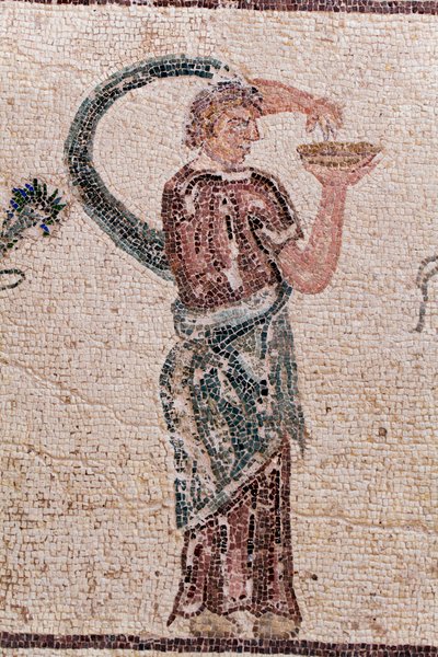 Detalj av Dionysos triumf - Gudens återkomst från en militärexpedition till Indien - En Baccante som håller i en drickskål - Paphos mosaiker, House of Dionysos, slutet av 2:a århundradet e.Kr. - Cypern - Dionysos triumf - Lång mosaik som återspeglar tri av William M. Timlin