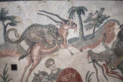 Detalj av den stora jaktmosaiken. En leopard attackerar en gasell. 3:e - 4:e århundradet. Romersk villa i Casale, Sicilien. UNESCO plats. av William M. Timlin