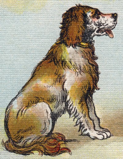 Hund. Gravyr i "Alphabet de ma petite fille". Bernardin-Bechet och Fils, bokhandlare-förlag, Paris, omkring 1895. Okrossbart album på duk. Bibliotheque des Bebes. 12 sidor. Album innehållande en läsmetod och en illustrativ abecedary. Dim: 29,5 av Unbekannt
