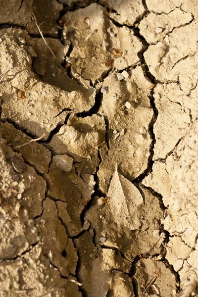 Torr (foto) av Unbekannter Künstler
