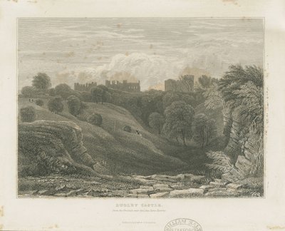 Dudley Castle: stålgravyr och [1800-talet] av Unbekannt