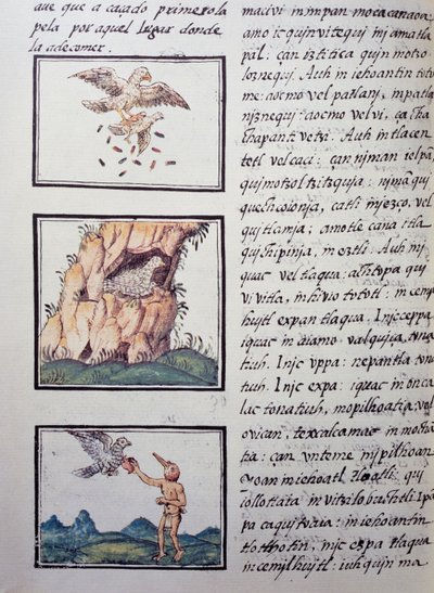 Eagles, sida från Florentine Codex, tvåspråkig version på spanska och Nahuatl, General History of the Things of New Spain av den spanska missionären Fray Bernardino de Sahagun (1499-1590). Aztekisk civilisation av William M. Timlin