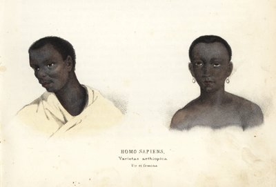 Etiopisk man och kvinna. Handkolorerad stålgravyr från Georg Friedrich Treitschkes naturhistoriska galleri, Naturhistorischer Bildersaal des Thierreiches, Liepzig-1842. av Unbekannter Künstler