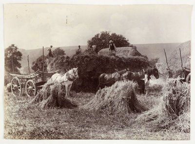Jordbruksscener, skörd och lagring, Skörd före 1900, c 1890 av Unbekannt