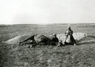Första världskriget 14-18 (1914-1918): tre franska soldater begraver en död häst - fotografi på glasplåt av Unbekannter Künstler