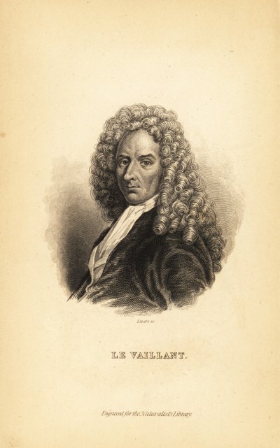 Francois le Vaillant eller Levaillant, fransk författare, upptäcktsresande, naturforskare och ornitolog av Unbekannt