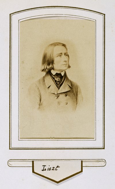 Franz Liszt när han var ung av Unbekannter Künstler