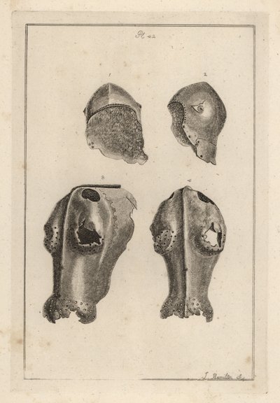 Hjälm 1,2 och järnchanfron eller chafron 3,4 som tillhörde Guy, Earl of Warwick av Unbekannt