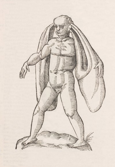 Homo fanesius auritus av Unbekannt