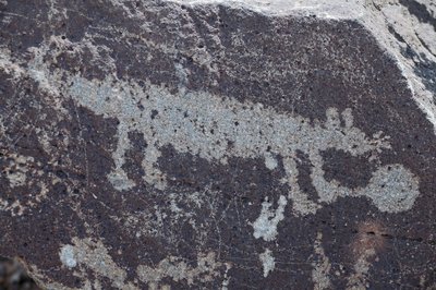 Indiska hällristningar som representerar djur - Petroglyph National Monument - Albuquerque, New Mexico, USA (USA) av William M. Timlin