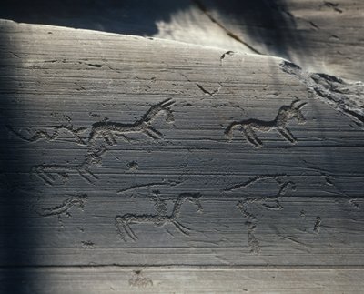 Italien, Lombardiet, camonica dalen, hällristningar på sten av Benjamin Baud