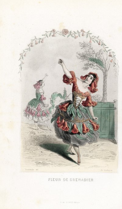 La fee de la fleur de grenade danse - Etsning av Charles Geoffroy (1819-1882), efter en illustration av Jean Ignace Isidore Gerard dit J.J.J.Granville (1803-1847), för Les fleurs animees av Unbekannter Künstler