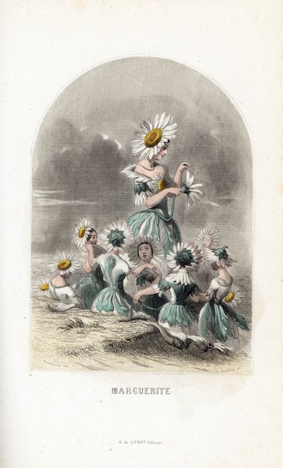 Les fees des daisies des pres, toppade med blomhattar, en lämnar kronbladen på en tusensköna - Eau forte av Charles Geoffroy (1819-1882), efter en illustration av Jean Ignace Isidore Gerard dit J.J.Granville (1803-1847), för Les fleurs animees av Unbekannter Künstler