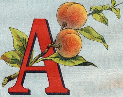Bokstav A: aprikos. Gravyr i "Alphabet de ma petite fille". Bernardin-Bechet och Fils, bokhandlare-förlag, Paris, omkring 1895. Okrossbart album på duk. Bibliotheque des Bebes. 12 sidor. Album innehållande en läsmetod och en illustrativ abeced av Unbekannt
