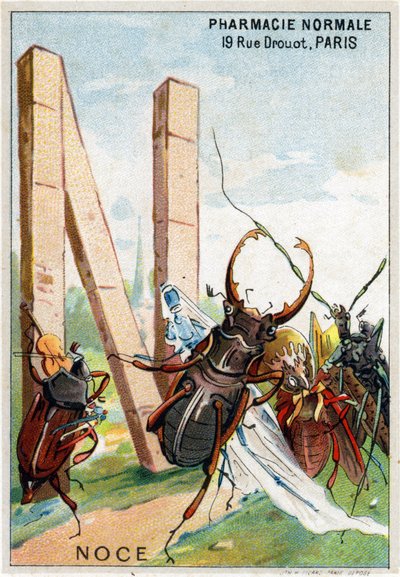 Bokstaven N som bröllop. Herr Mariniers konstnärliga alfabet. Redigerad av Henry Sicard, sent 1800-tal. Reklamkromolitografier för produkter som säljs på apotek. Mått: 12,5 x 9 cm av Unbekannt