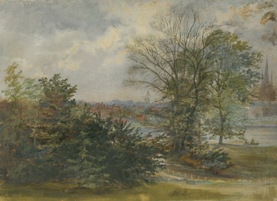 Lichfield - Avlägsen utsikt: oljemålning och [? 1800-talet] av Unbekannt