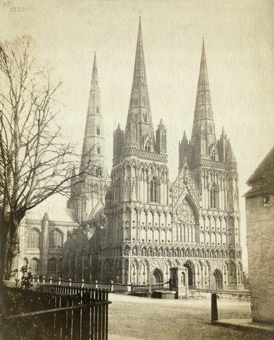Lichfield Cathedral OP08956 (s/v foto) av Unbekannter Künstler