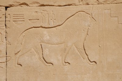 Lejonsnideri, Karnak, Luxor, Egypten (foto) av Unbekannt