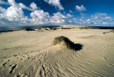 Litauen, Klaipeda, Kuriska spotten, Nida, rörliga sanddyner som kallas Preussiska Sahara av William M. Timlin