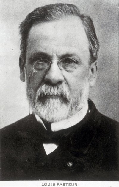 Louis Pasteur, fransk kemist och mikrobiolog, ca 1885 av Unbekannter Künstler