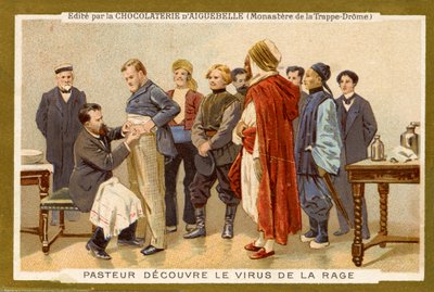 Louis Pasteur upptäcker rabiesviruset av Unbekannter Künstler