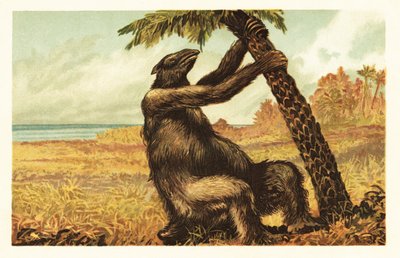 Megatherium americanum drar på en palm.1908 (litografi) av Unbekannter Künstler